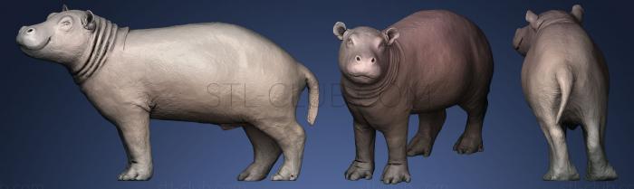 3D model Baby Hippo (STL)